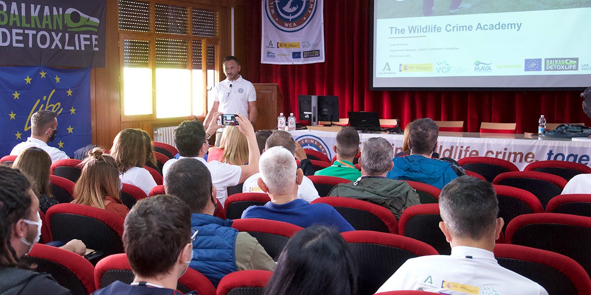 παρουσίαση σε κοινό public presentation