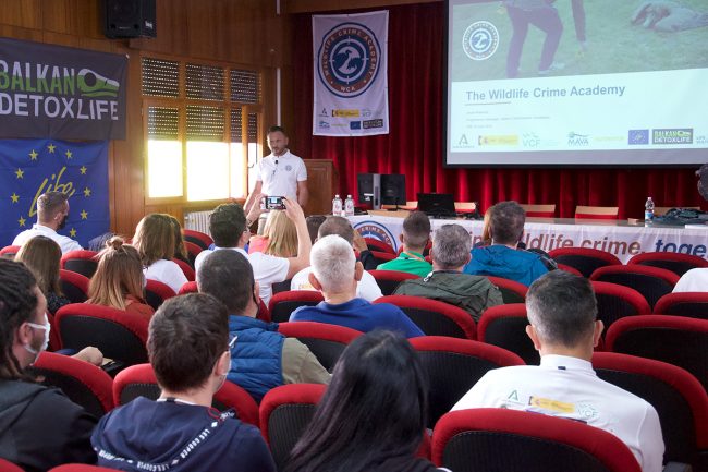 παρουσίαση σε κοινό public presentation παρουσίαση σε κοινό public presentation