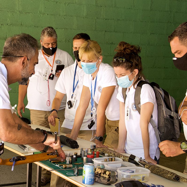 εξέταση όπλων examination of weapons