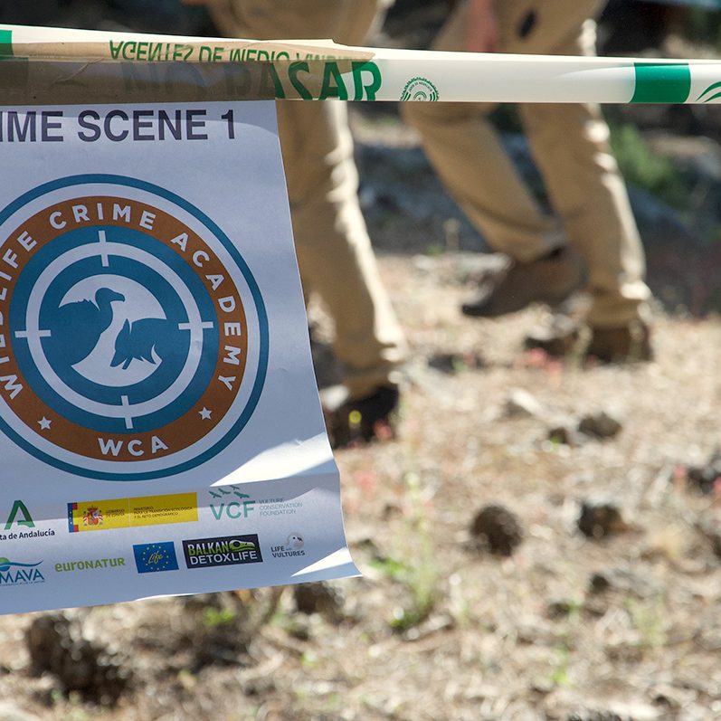 σήμανση τόπου εγκλήματος crime scene marking