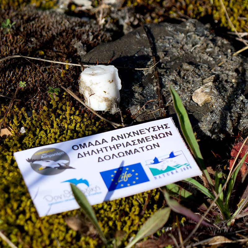 δηλητηριασμένο δόλωμα poisoned bait