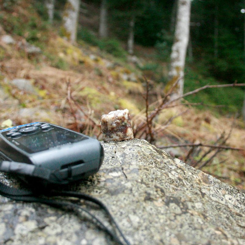 δηλητηριασμένο δόλωμα poisoned bait