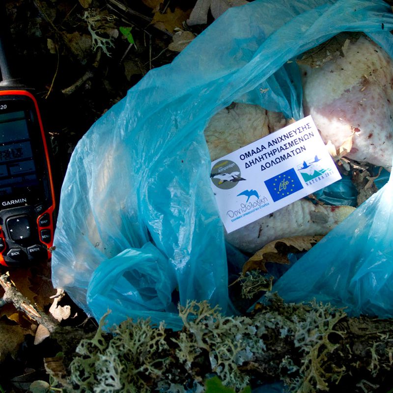δηλητηριασμένο δόλωμα poisoned bait