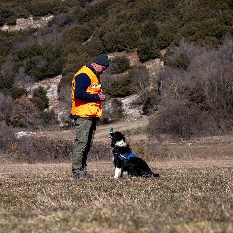 άνθρωπος και σκύλος man and dog