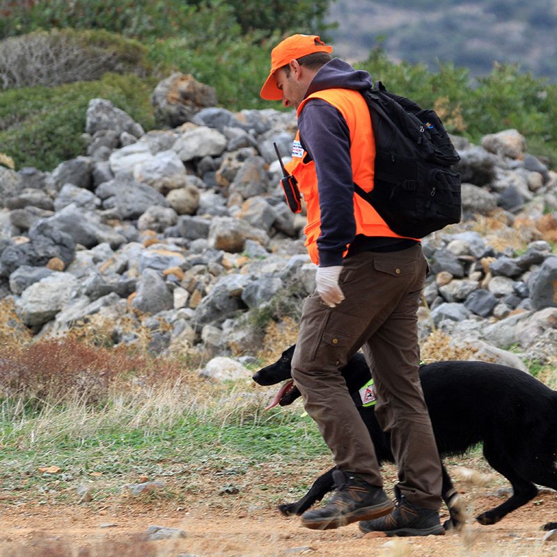 άνθρωπος και σκύλος man and dog