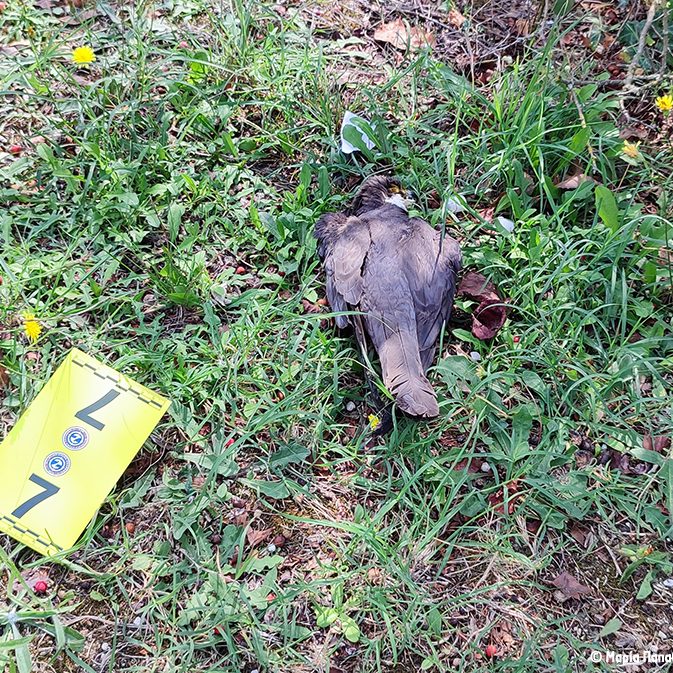 Σεμινάριο Άρτας Seminar Arta