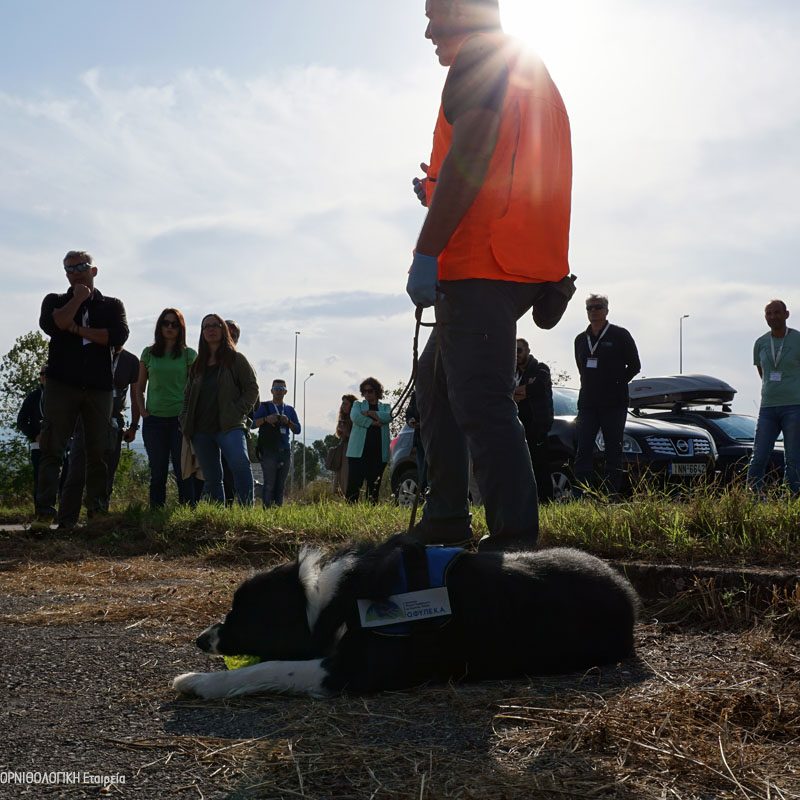 Σεμινάριο Ιωαννίνων Seminar Ioannina