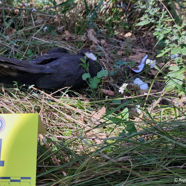 Σεμινάριο Ιωαννίνων Seminar Ioannina