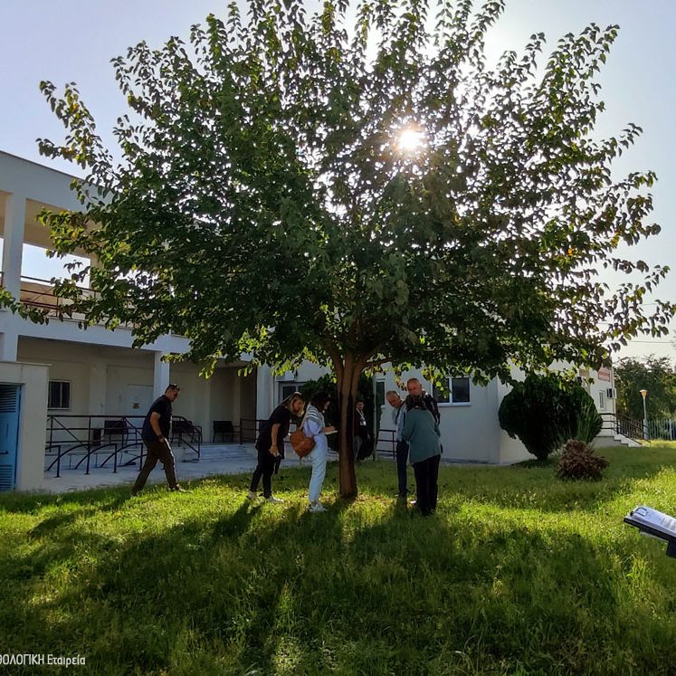 Σεμινάριο Καρδίτσας Seminar Karditsa