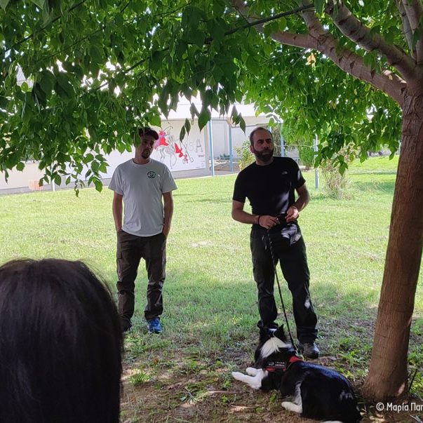 Σεμινάριο Καρδίτσας Seminar Karditsa