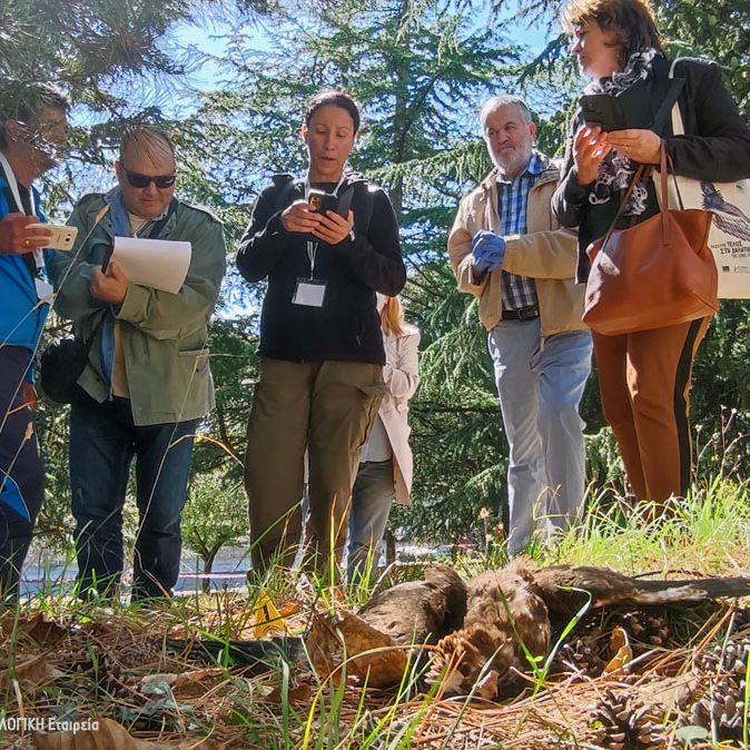 Σεμινάριο Καρπενησίου Seminar Karpenisi