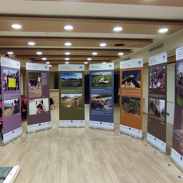 Εκδήλωση Άρτας Open Event Arta