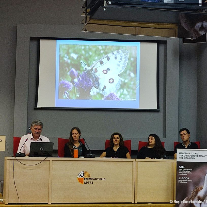 Εκδήλωση Άρτας Open Event Arta