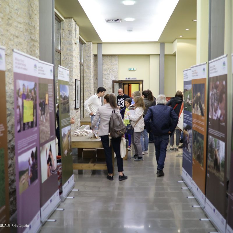 Εκδήλωση Ιωαννίνων Open Event Ioannina