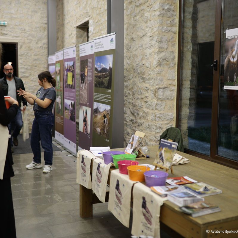 Εκδήλωση Ιωαννίνων Open Event Ioannina