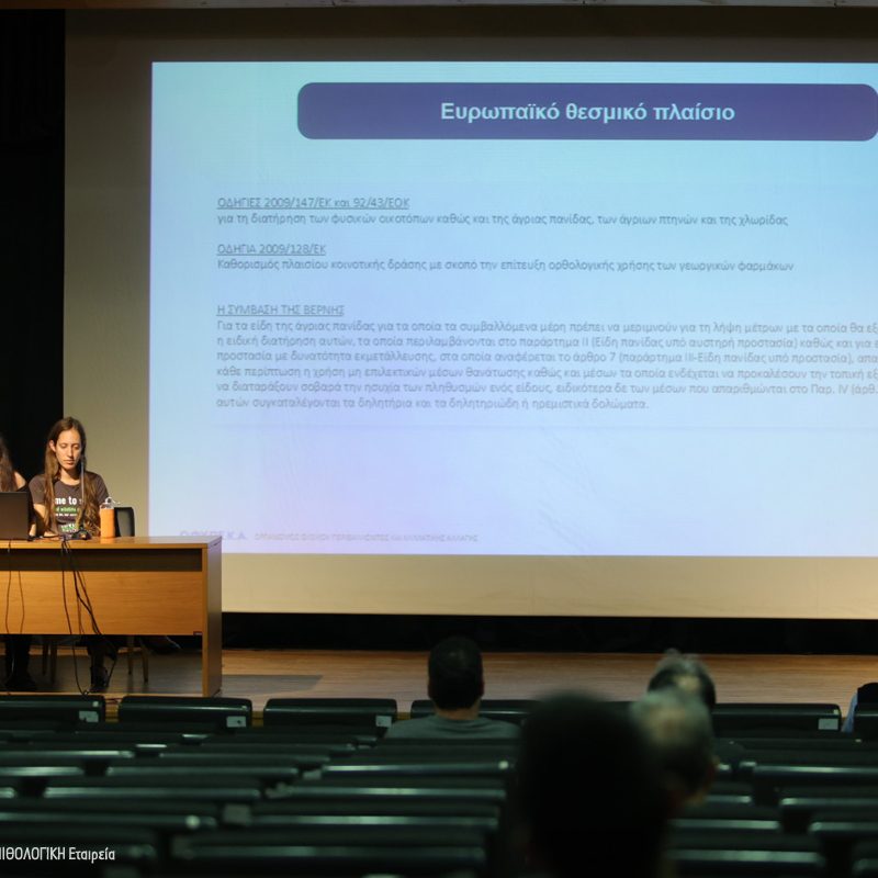 Εκδήλωση Ιωαννίνων Open Event Ioannina