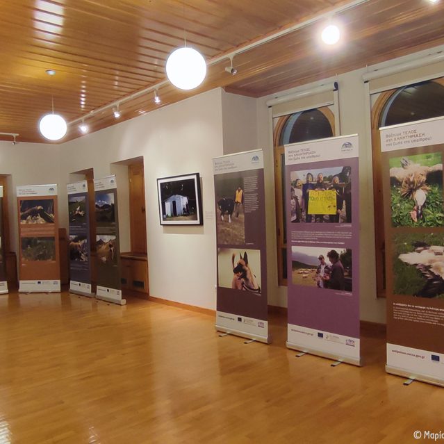 Εκδήλωση Μετσόβου Open Event Metsovo