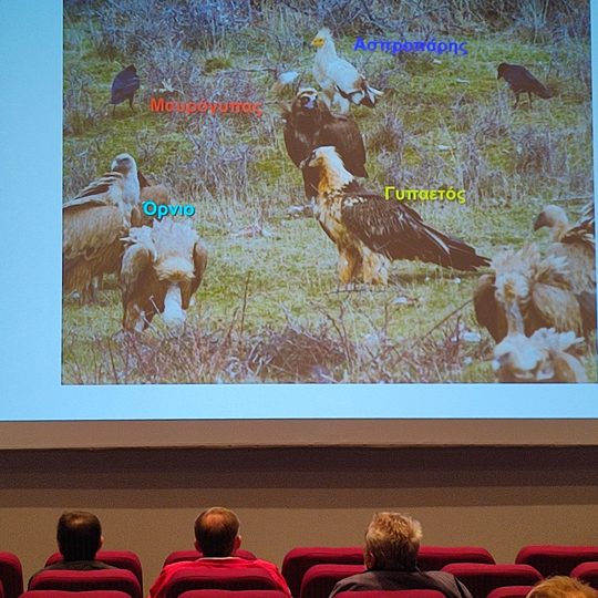 Εκδήλωση Καλαμπάκας Kalambaka Open Event