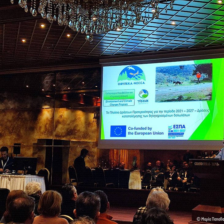 Διημερίδα στα Ιωάννινα Conference in Ioannina