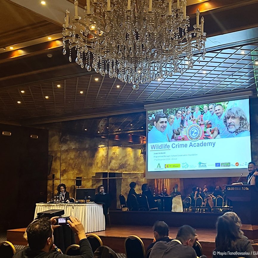 Διημερίδα στα Ιωάννινα Conference in Ioannina