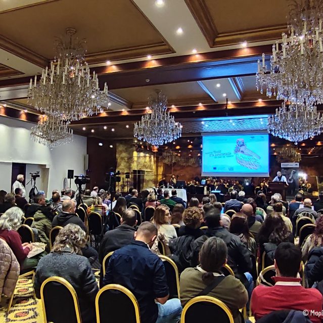 Διημερίδα στα Ιωάννινα Conference in Ioannina