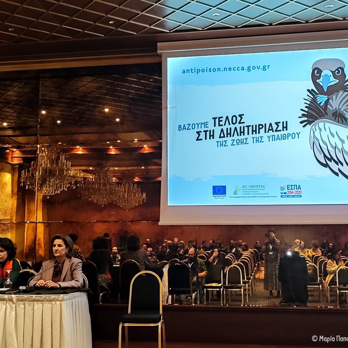 Διημερίδα στα Ιωάννινα Conference in Ioannina