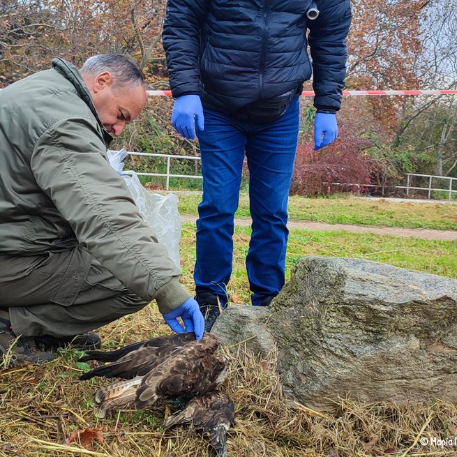 Σεμινάριο Λάρισας Seminar Larisa